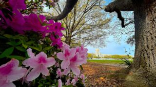Welcome Back, S.C. Corps of Cadets! We're ready for a great spring semester!