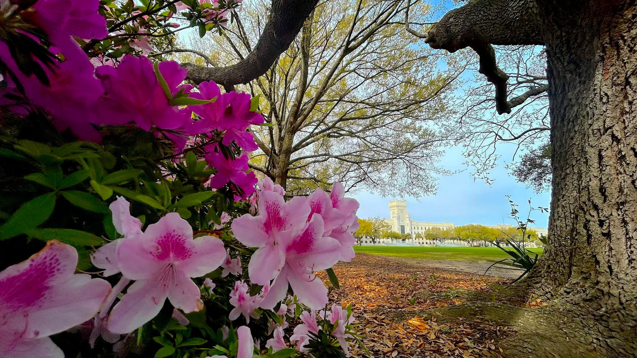 Welcome Back, S.C. Corps of Cadets! We're ready for a great spring semester!