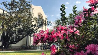 March 10, 2026: First no-see-um bite of the year