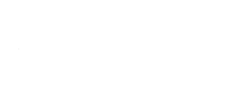 The Citadel Alumni Association